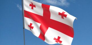 georgia flag