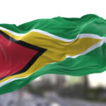 Guyana flag