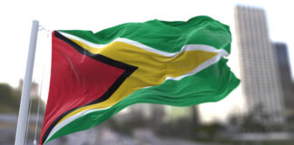 Guyana flag