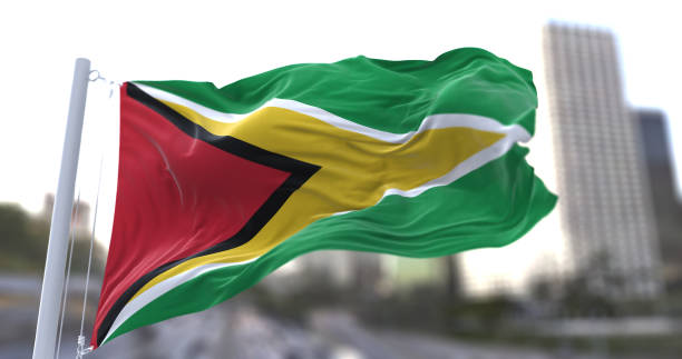 Guyana flag