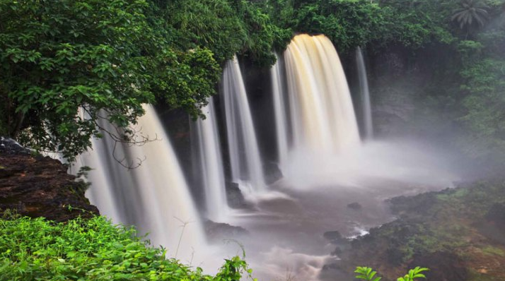 Lush greenery from Cross River’s sustainability efforts