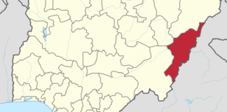 nigeria adamawa