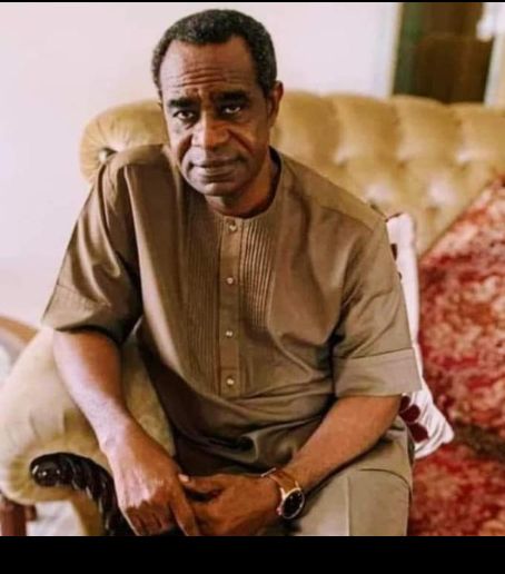 his excellency boni haruna