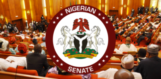nigerian senate